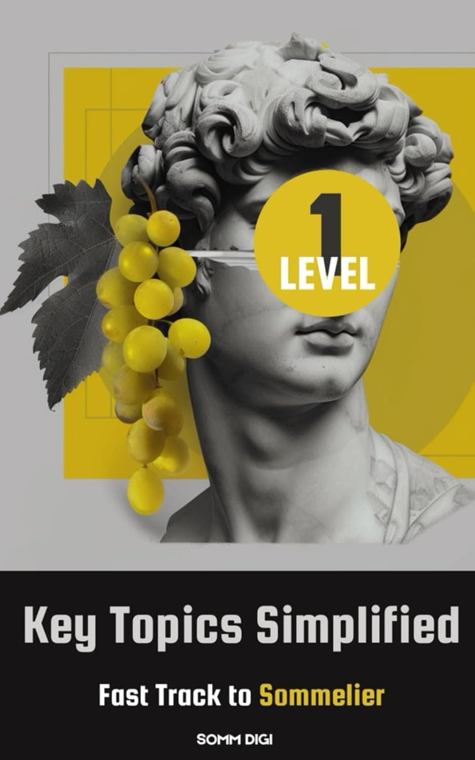 Sommelier Level 1 Prep Book book cover